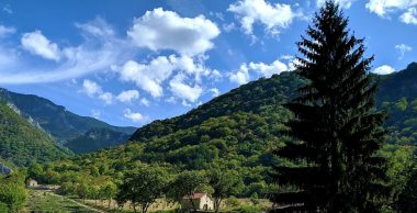 изглед - гора - бачковски манастир