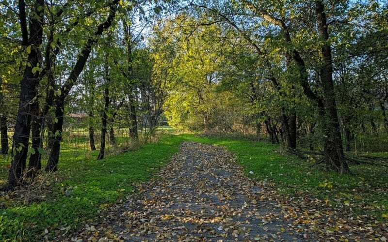 autumn mobile photography samsung galaxy s9 Plus bulgaria Varna