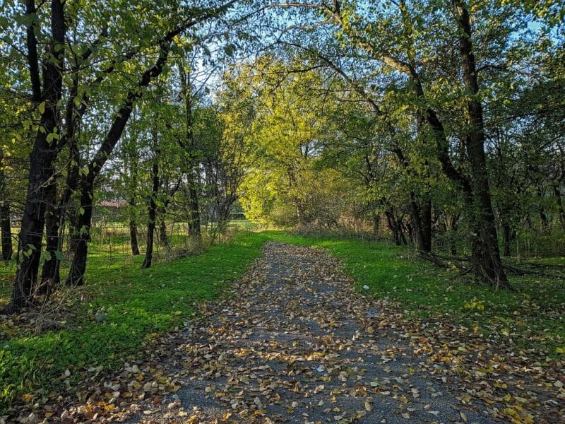 autumn mobile photography samsung galaxy s9 Plus bulgaria Varna