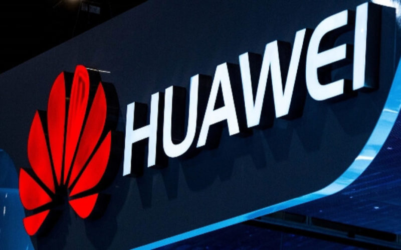 Huawei прасета свине животновъдство
