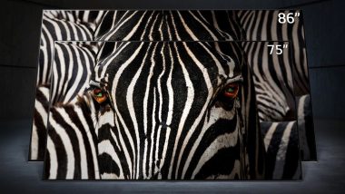 Телевизорите LG NanoCell предлагат реалистично изживяване с чисти цветове и голям екран благодарение на използваната нанотехнология на LG - за домашно кино, гейминг и спорт. Вижте какви са техните предимства и с какви технологии превъзхождат конвенционалните LCD телевизори