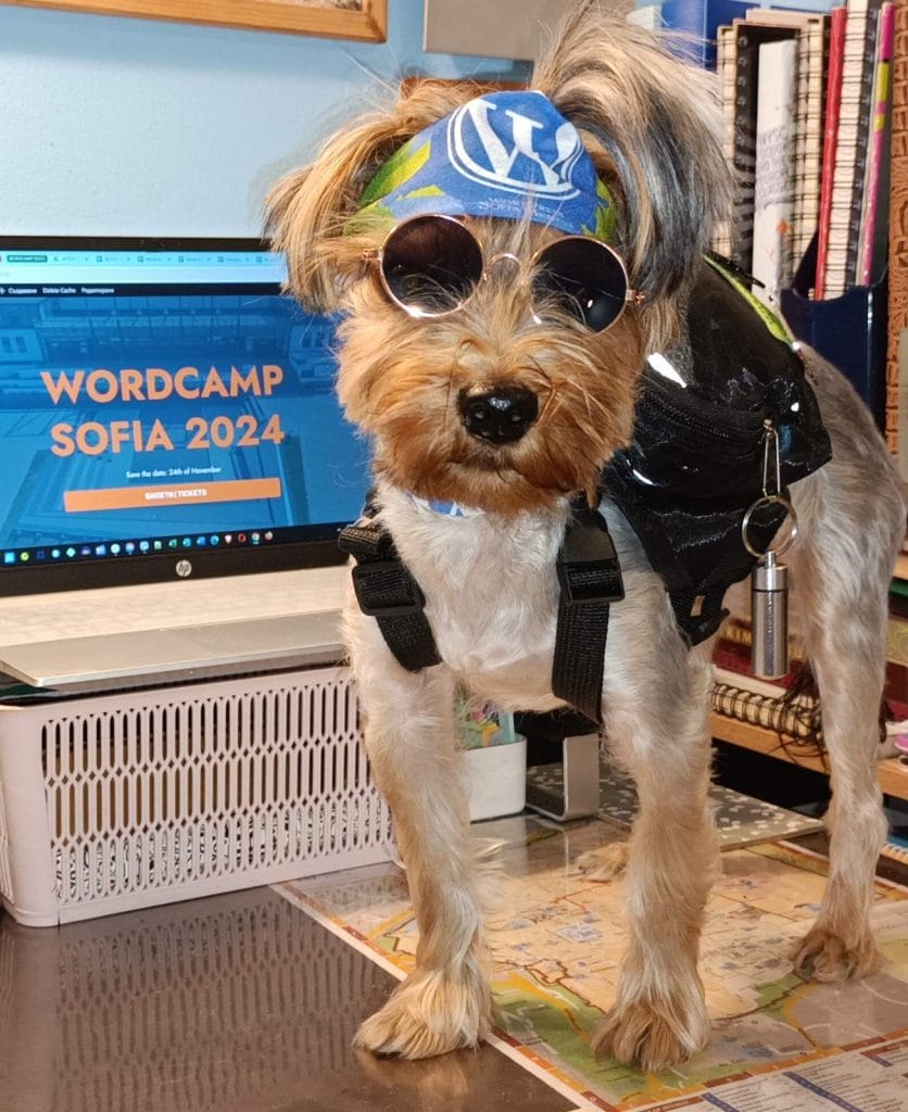 Фен на WordCamp от семейството на Нели Хубенова