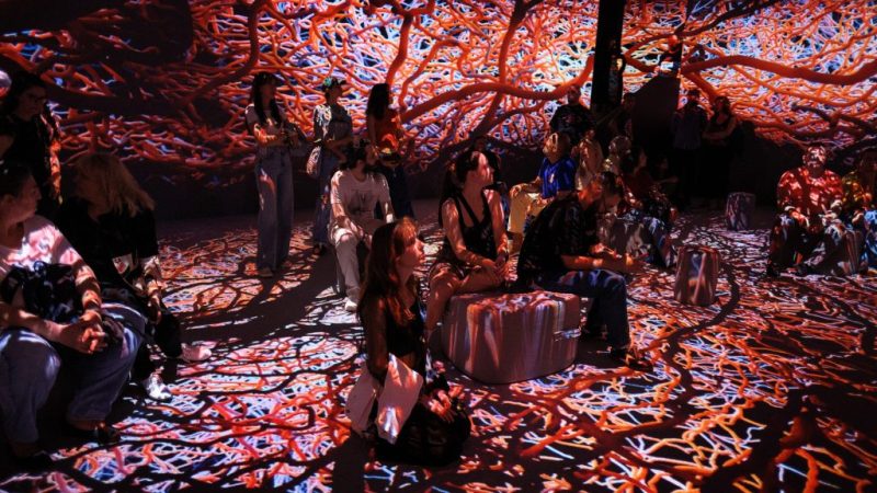 VIDENIE отвори врати в София – първото имерсивно пространство за дигитално изкуство и AI у нас, създадено от студио Phormatik.