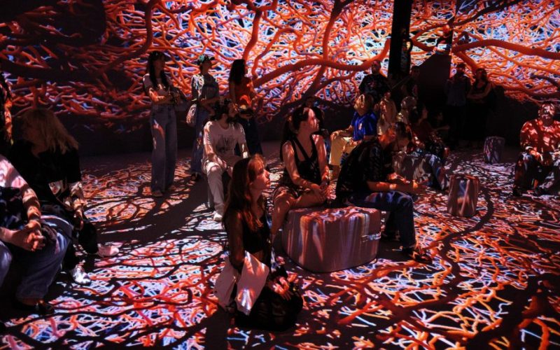 VIDENIE отвори врати в София – първото имерсивно пространство за дигитално изкуство и AI у нас, създадено от студио Phormatik.